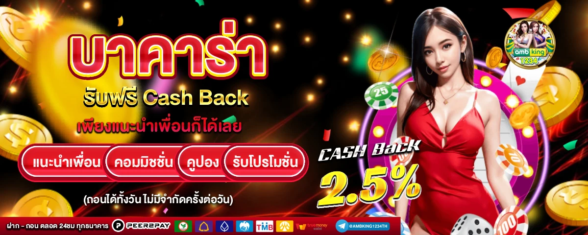 เปลี่ยนล้อกระเป๋าเดินทาง - แบนเนอร์โปรโมชั่น